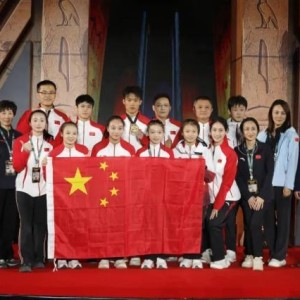 体育赛事-体操世界杯开罗站中国队3金2银3铜 位奖牌榜首位