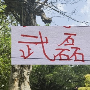 体育赛事-2月海港就要打亚冠比赛 大概率武磊+莱昂纳多 这些一哥上不了